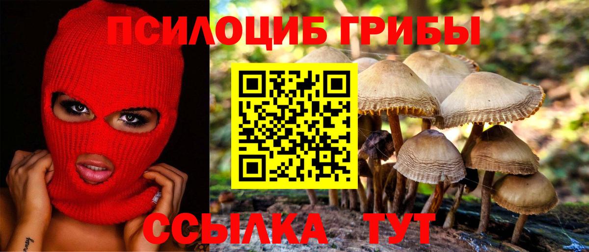 где можно купить наркотик  Псилоцибиновые грибы Psilocybe  Вход с VPN  Псилоцибиновые грибы Psilocybine cubensis  Бугуруслан 